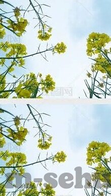 994成人免费视频-探索成人娱乐的边界，994成人免费视频的多元视角