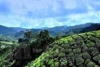 大象传媒视频黄版-大象传媒，文化与娱乐的跨界探索