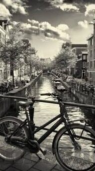 麻豆尤物av免费看-麻豆尤物，揭示网络成人内容中的隐秘世界