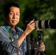 人妻区-探索人妻区的多元面向，爱与成长的温柔角落