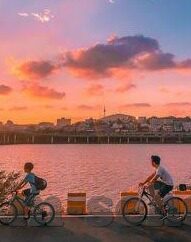 糖心app下载安装包-便捷体验，糖心APP下载与安装的全面指南